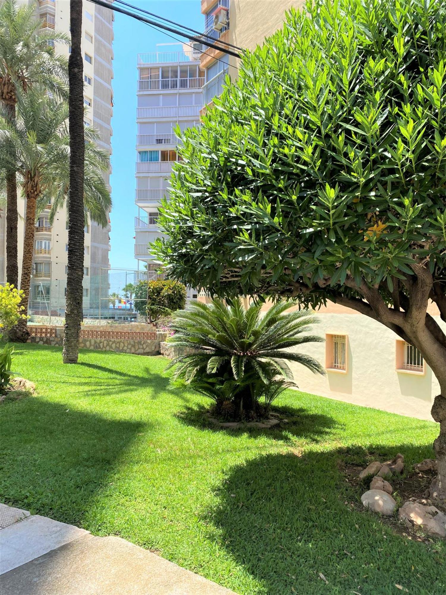 Carabelas-3-12 Benidorm Exteriör bild